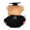 Graduation bear Thumbnail